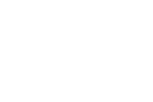 Flying Frog Academy